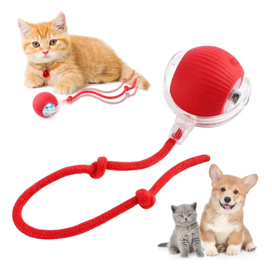 Juguete Pelota Interactiva Mascotas
